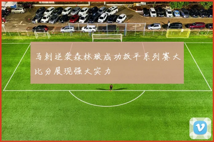 马刺逆袭森林狼成功扳平系列赛大比分展现强大实力