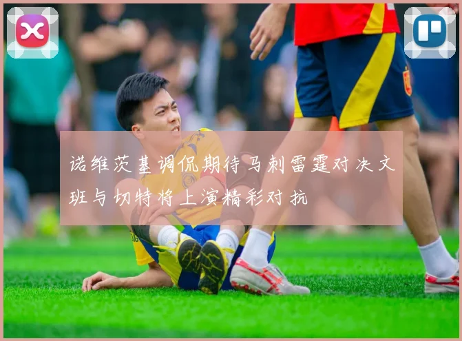 诺维茨基调侃期待马刺雷霆对决文班与切特将上演精彩对抗